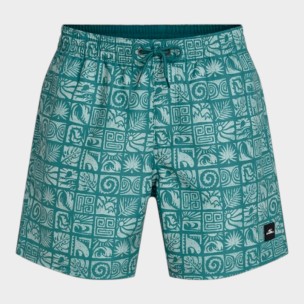 Ανδρικό Μαγιό Σορτς O'neill Print 16'' Swimshorts 2800252-35200