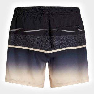 Ανδρικό Μαγιό Σορτς ONeill Gradient 15 Swimshorts 2800250-29038
