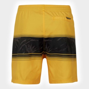 Ανδρικό Μαγιό Σόρτς O'Neill Cali Stripe Shorts 2800039-22010M