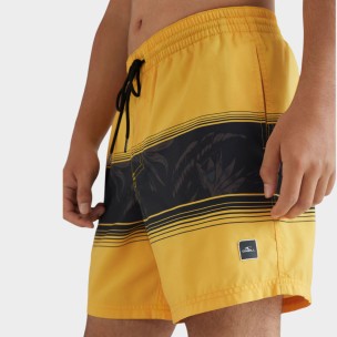 Ανδρικό Μαγιό Σόρτς O'Neill Cali Stripe Shorts 2800039-22010M