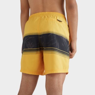 Ανδρικό Μαγιό Σόρτς O'Neill Cali Stripe Shorts 2800039-22010M