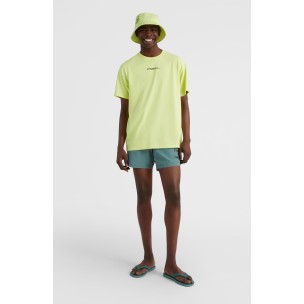 Ανδρικό Μαγιό Σόρτς O'Neill CALI FSS 16'' Swim Shorts 2800078-15047M
