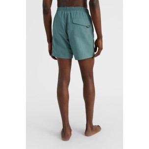 Ανδρικό Μαγιό Σόρτς O'Neill CALI FSS 16'' Swim Shorts 2800078-15047M