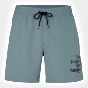 Ανδρικό Μαγιό Σόρτς O'Neill CALI FSS 16'' Swim Shorts 2800078-15047M
