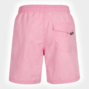 Ανδρικό Μαγιό Σόρτς O'Neill Vert Swim Shorts N03200-14010M