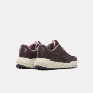 Γυναικεία Αθλητικά Παπούτσια Reebok Base Trail Low 100272544