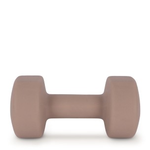 Αλτήρας Amila Neoprene Dumbbell 9 Kg 90519