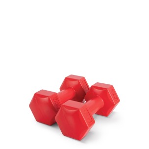 Αλτήρας Εξάγωνος Plastic Series 1,00Kg (Ζευγάρι) Amila 44530
