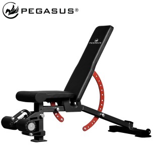 Ρυθμιζόμενος Πάγκος Pegasus PG-2101