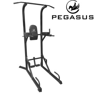 Μονόζυγο/Δίζυγο Pegasus PG-026A