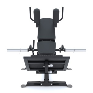 Όρθια Πρέσα Ποδιών και Hack Squat Force Usa F-CLP-V3