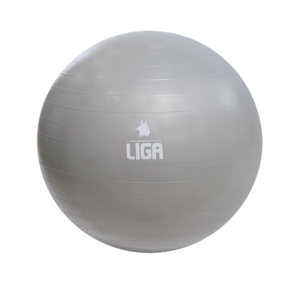 Μπάλα γυμναστικής 75cm Ligasport Gym Ball (Γκρί)