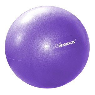 Pegasus® Μπάλα Γυμναστικής Pilates 25cm Β-1510