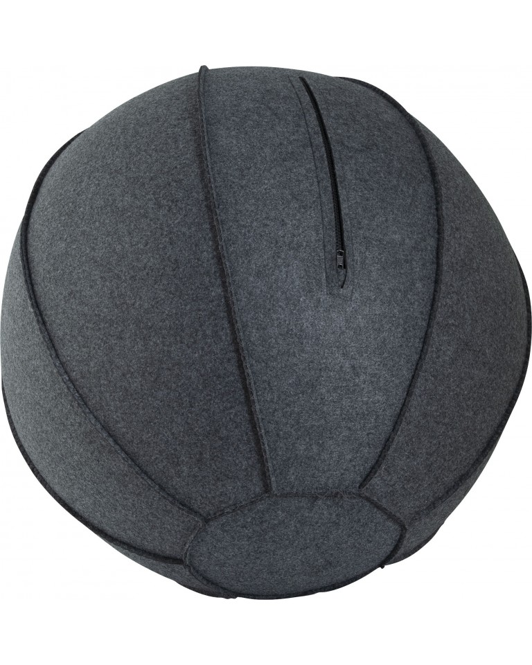 Κάλυμμα για Μπάλα Γυμναστικής Amila Gymball 75cm 95887