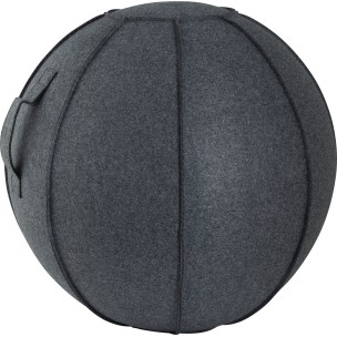 Κάλυμμα για Μπάλα Γυμναστικής Amila Gymball 75cm 95887