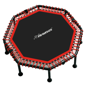 Pegasus® Τραμπολίνο 48" (122cm) Β 4503