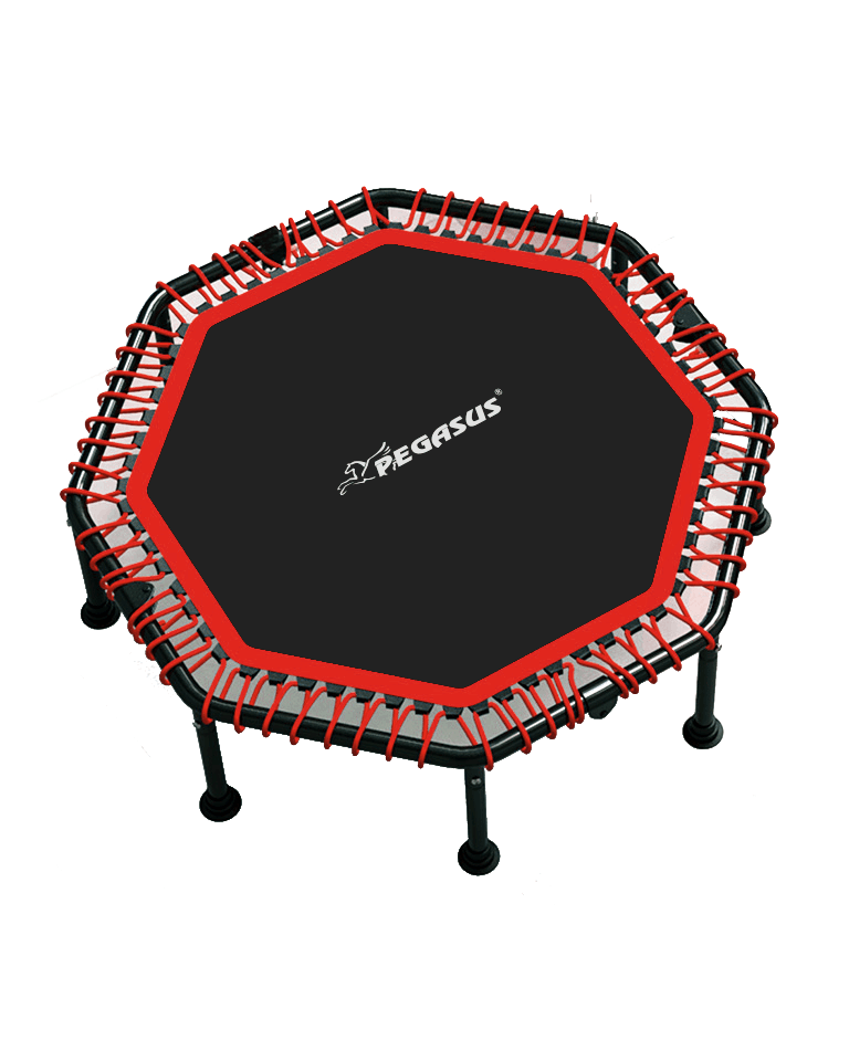 Pegasus® Τραμπολίνο 48" (122cm) Β 4503