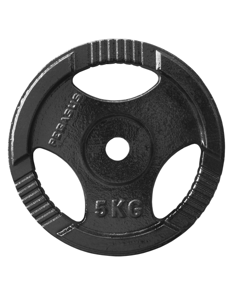 Ελεύθερα Βάρη Δίσκος Σφυρήλατος Ø29 (5 kg) Β-0106