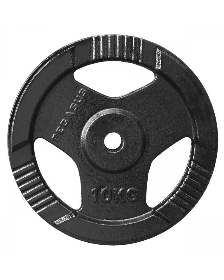 Ελεύθερα Βάρη Δίσκος Σφυρήλατος Ø29 (10 kg) Β-0106