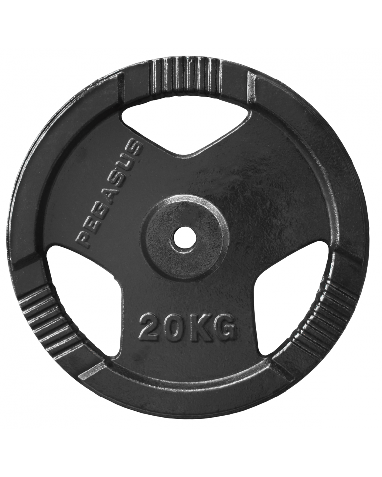 Ελεύθερα Βάρη Δίσκος Σφυρήλατος Ø29 (20 kg) Β-0106