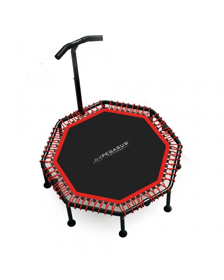 Pegasus® Τραμπολίνο με λαβή 48" (122cm) Β 4503 A