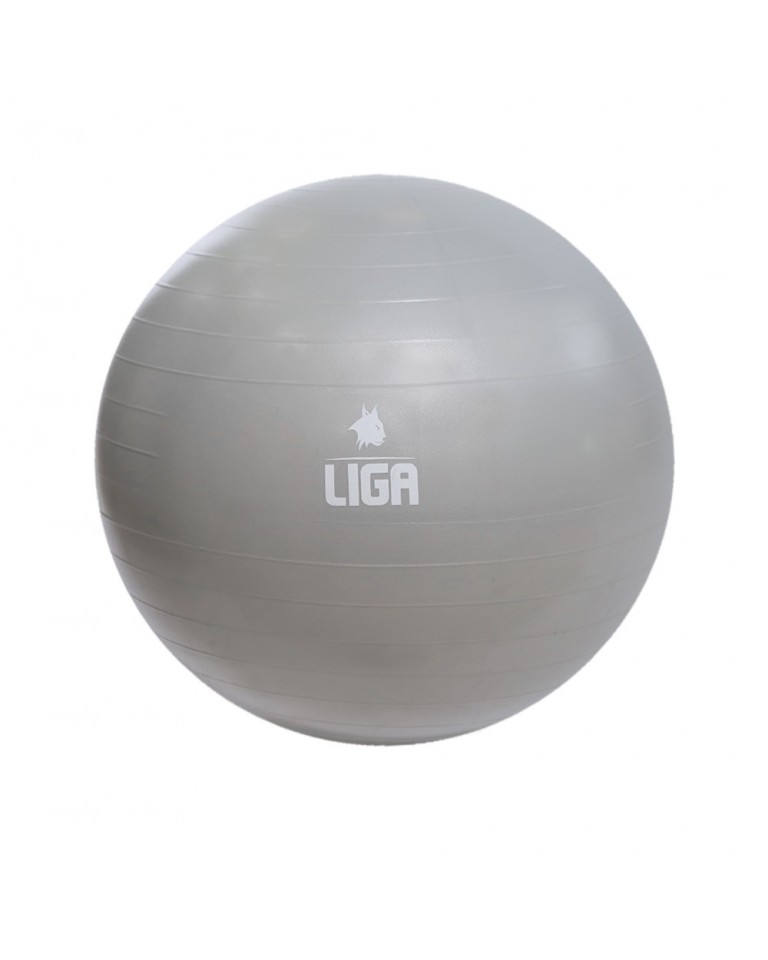 Μπάλα γυμναστικής 55cm Ligasport Gym Ball (Γκρί)