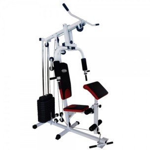 Πολυόργανο Γυμναστικής  Viking ES 411