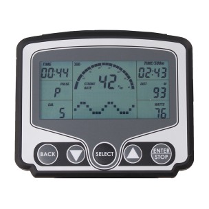 Όρθια Επαγγελματική Κωπηλατική - Προσομοιωτής Σκι Viking Ski Ergo