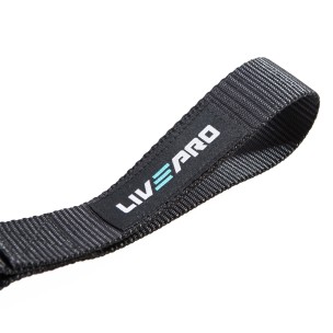 Άγκιστρο Πόρτας LivePro B 8403