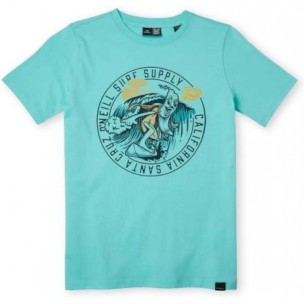 Παιδικό T-Shirt Για Αγόρι O'Neill Salt T-Shirt 4850003-16014J