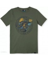 Παιδικό T-Shirt Για Αγόρι O'Neill Salt T-Shirt 4850003-16011J