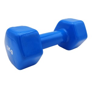 Αλτήρας Βινυλίου Vinyl Dumbbell 5kg (χρώμα γαλάζιο) Ligasport
