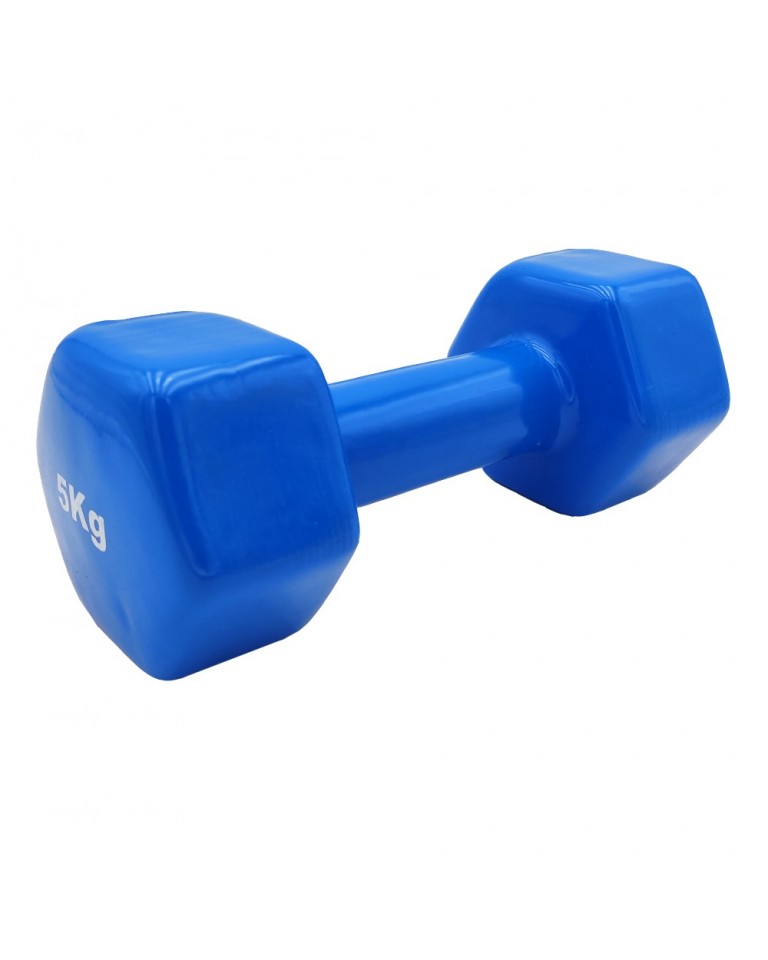 Αλτήρας Βινυλίου Vinyl Dumbbell 5kg (χρώμα μπλέ) Ligasport