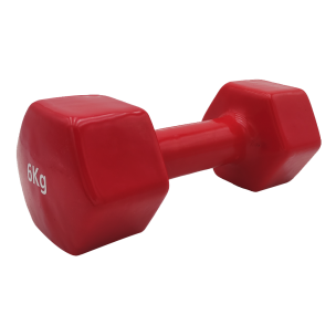 Αλτήρας Βινυλίου Vinyl Dumbbell 6kg (χρώμα κόκκινο) Ligasport