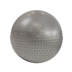 Μπάλα γυμναστικής 65cm (Gym Ball) (γκρι) LIGASPORT*