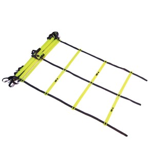 Διπλή Σκάλα Επιτάχυνσης Double Flat Ladder Ligasport