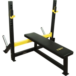 Πάγκος ασκήσεων amila Weight Bench  46106