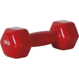 Βαράκι Γυμναστικής Βινυλίου 3 κιλών Amila 90505