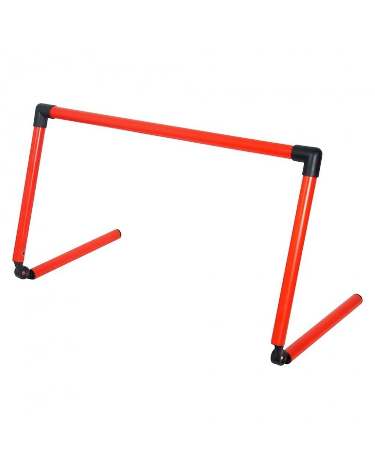 Εμπόδια για ακαδημίες ρυθμιζόμενα (6 τμχ.) 48578