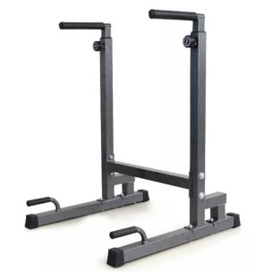 Viking DS-90 Dip Station