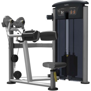 Μηχάνημα Δελτοειδούς Impulse Lateral Raise IT9524S (Ασημί)