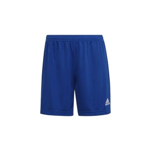 Γυναικείο Ψηλόμεσο Σορτς  Adidas Entrada 22 HH9998