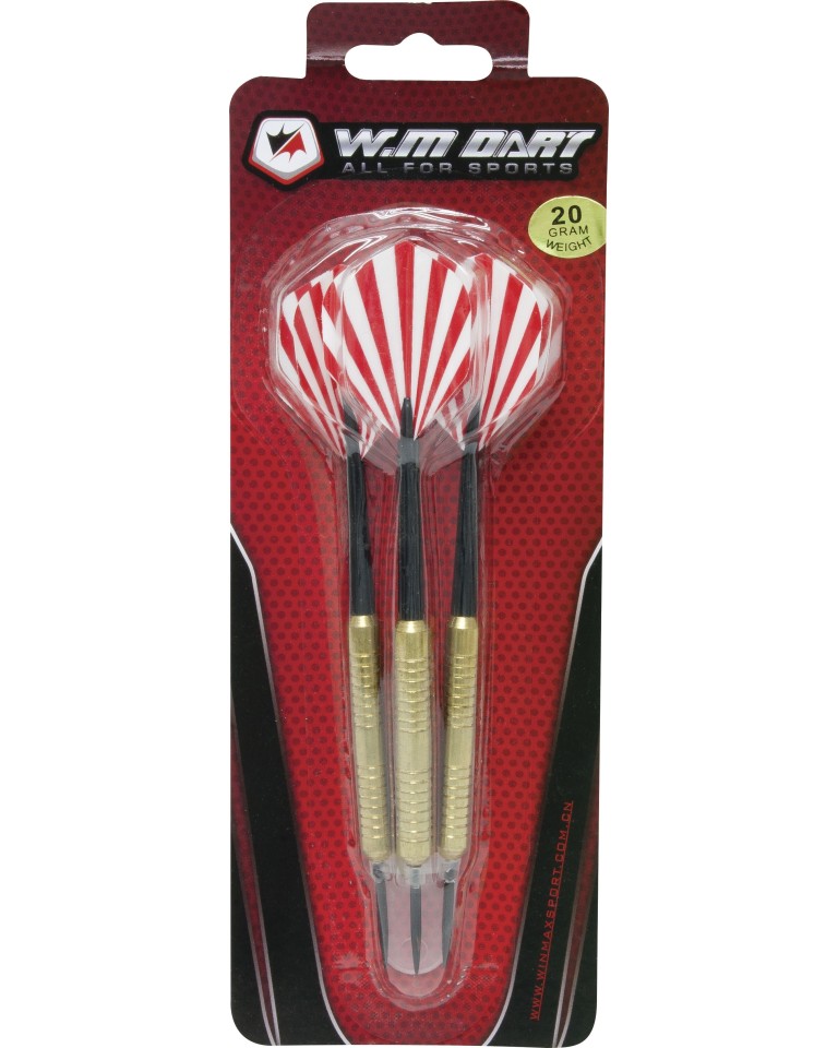 Βέλη με σιδερένια μύτη 20gr Win.Max 49157