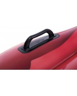 Φουσκωτό Στρώμα Τριαντάφυλλο Intex Red Rose Mat 58783