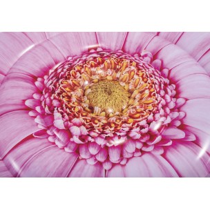 Pink Daisy Flower Mat Intex 58787