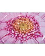 Pink Daisy Flower Mat Intex 58787