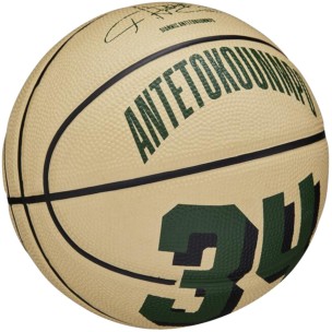 Μπάλα Μπάσκετ Wilson NBA Player Icon Mini BSKT Giannis Antetokounmpo WZ4007501XB3 (Size 3)