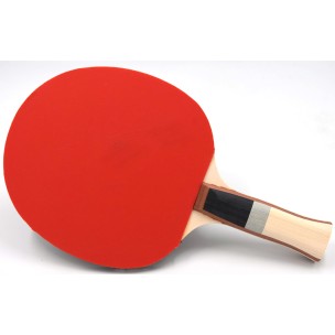 Ρακέτα Ping Pong Sunflex Plus A13