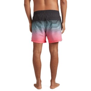 Ανδρικό Μαγιό O'Neill Cali Gradient 15'' Swim Shorts 2800074-29020M Black Sim