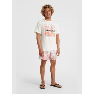 Ανδρικό Μαγιό O'Neill Cali Crazy 16'' Swim Shorts 2800083-32516M Peach Cra